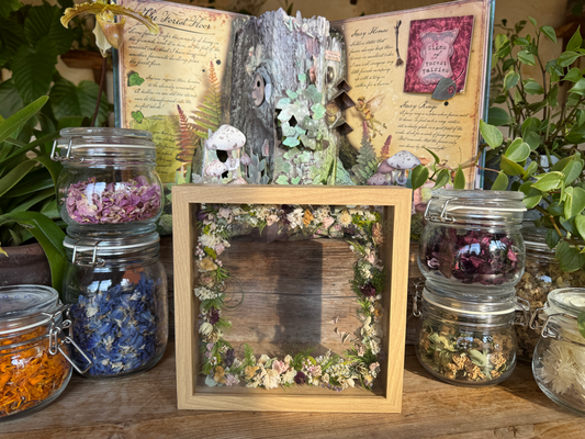 リバイバルレッスン（未定）