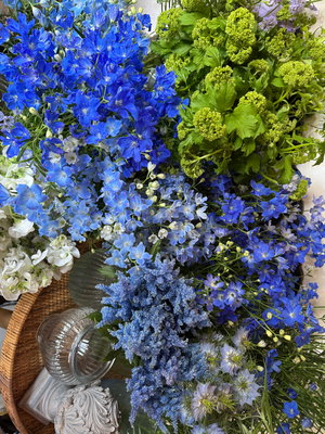 4月flower lesson/青花のいけ込み