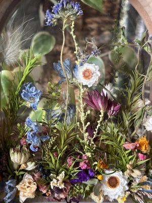 5月advance class/ボタニカルフレーム