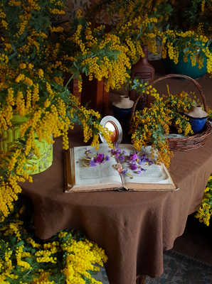 3月ミモザのフライングボール