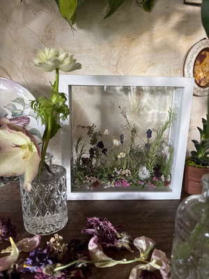 2月advance clsass/ボタニカルフレーム