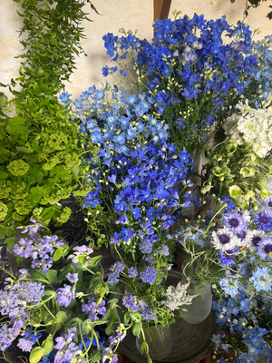 4月flower lesson/青花のいけ込み