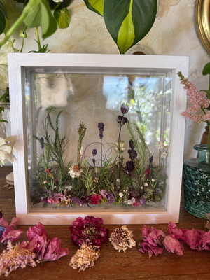 2月advance clsass/ボタニカルフレーム