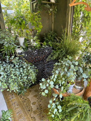 9月advance class/植物を紡ぐ....グリーンガーランド