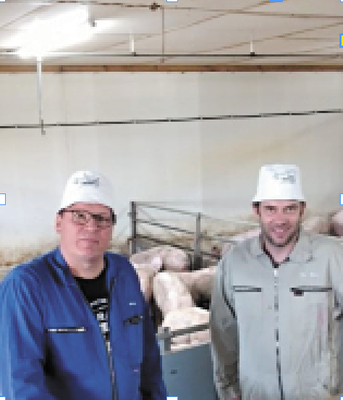 Landwirte im Ferkelstall