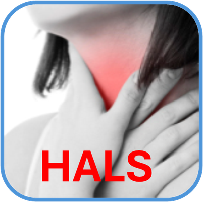 Informationen zum Hals und zu Halserkrankungen
