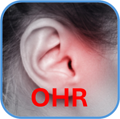Informationen zum Ohr und zu Ohrerkrankungen
