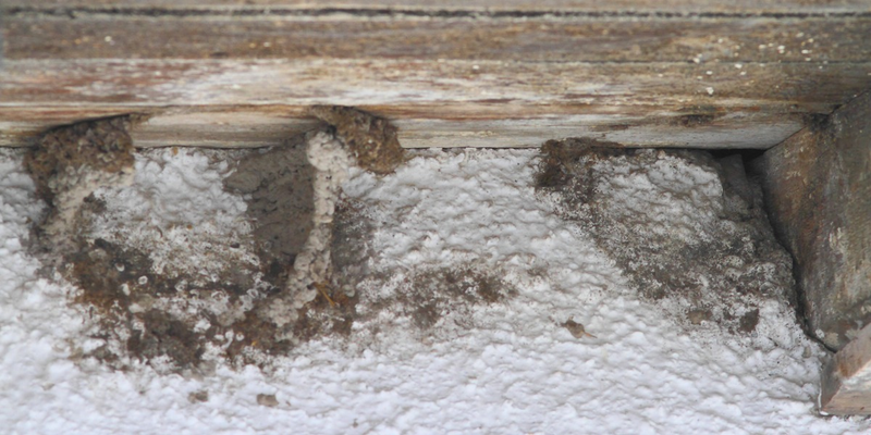 Hier wurden Mehlschwalben-Nester entfernt