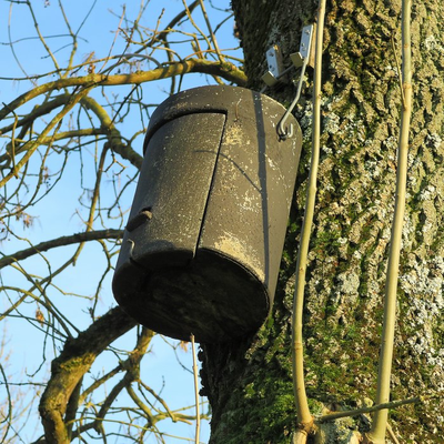 Überwinterungskasten für Abendsegler - 30 Jahre alt