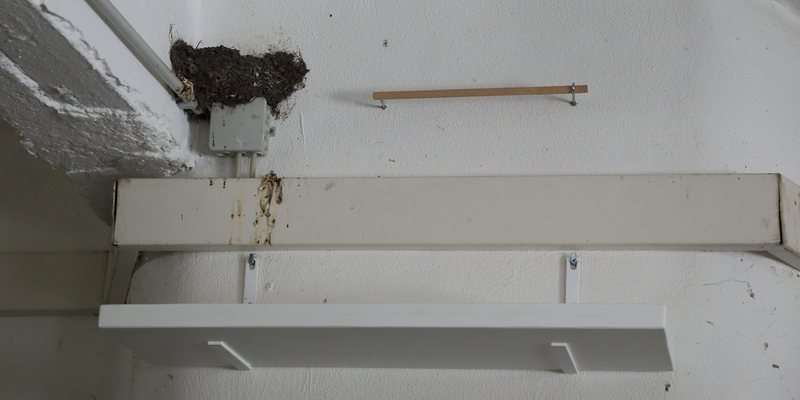 Minderung der Verschmutzung ebenfalls durch ein Kotbrett darunter