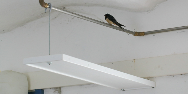 Ein Kotbrett unter einem beliebten Rastplatz der Vögel