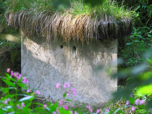 Künstliche Brutwand mit 2 Brutröhren