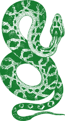serpent - animal rampant - animaux - smiley émoticône émoji cartoon clipart illustration - artémotic