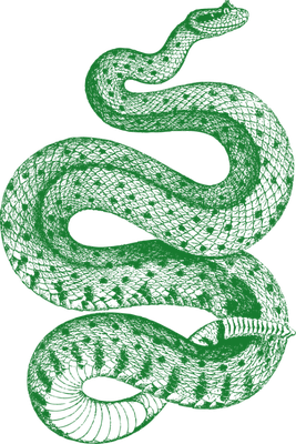 serpent - animal rampant - animaux - smiley émoticône émoji cartoon clipart illustration - artémotic