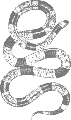 serpent - animal rampant - animaux - smiley émoticône émoji cartoon clipart illustration - artémotic