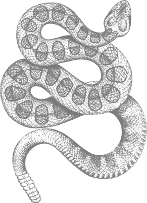 serpent - animal rampant - animaux - smiley émoticône émoji cartoon clipart illustration - artémotic