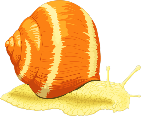 escargot - animal rampant - animaux - smiley émoticône émoji cartoon clipart illustration - artémotic