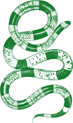 serpent - animal rampant - animaux - smiley émoticône émoji cartoon clipart illustration - artémotic