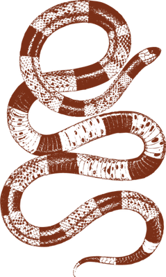 serpent - animal rampant - animaux - smiley émoticône émoji cartoon clipart illustration - artémotic