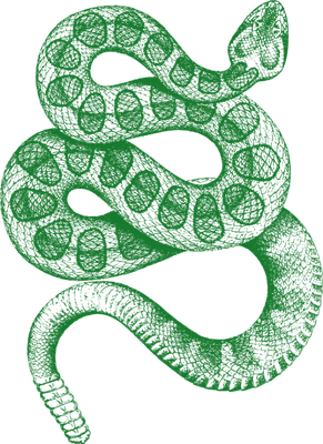 serpent - animal rampant - animaux - smiley émoticône émoji cartoon clipart illustration - artémotic