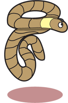 ver - animal rampant - animaux - smiley émoticône émoji cartoon clipart illustration - artémotic
