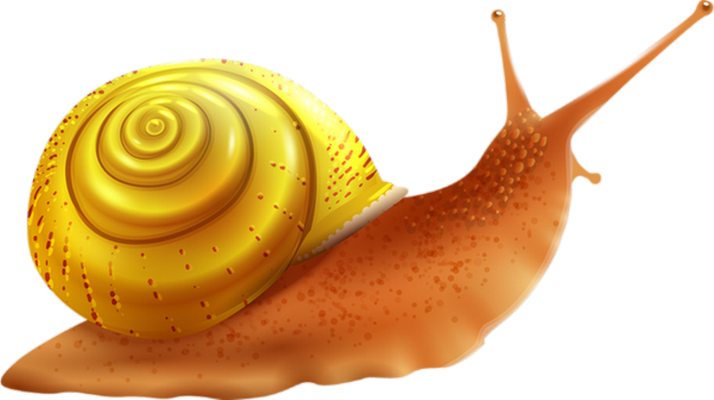 escargot - animal rampant - animaux - smiley émoticône émoji cartoon clipart illustration - artémotic