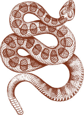 serpent - animal rampant - animaux - smiley émoticône émoji cartoon clipart illustration - artémotic