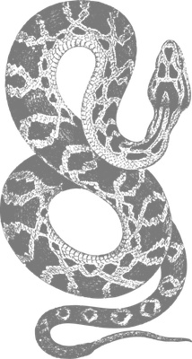 serpent - animal rampant - animaux - smiley émoticône émoji cartoon clipart illustration - artémotic