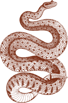 serpent - animal rampant - animaux - smiley émoticône émoji cartoon clipart illustration - artémotic