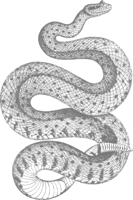 serpent - animal rampant - animaux - smiley émoticône émoji cartoon clipart illustration - artémotic