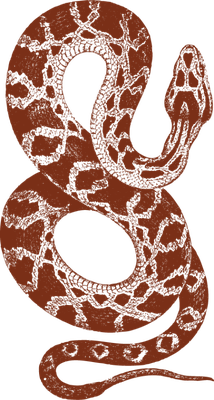 serpent - animal rampant - animaux - smiley émoticône émoji cartoon clipart illustration - artémotic