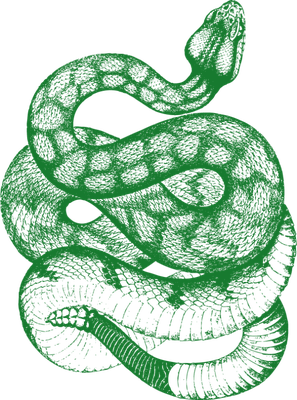 serpent - animal rampant - animaux - smiley émoticône émoji cartoon clipart illustration - artémotic