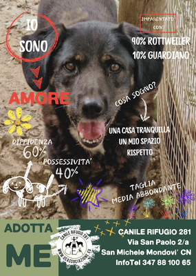 AMORE ADOTTATO A DISTANZA DA SIMONA
