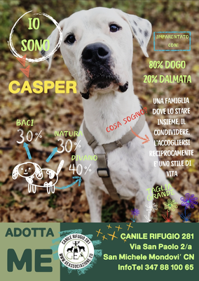 CASPER ADOTTATO A DISTANZA DA LORENZO
