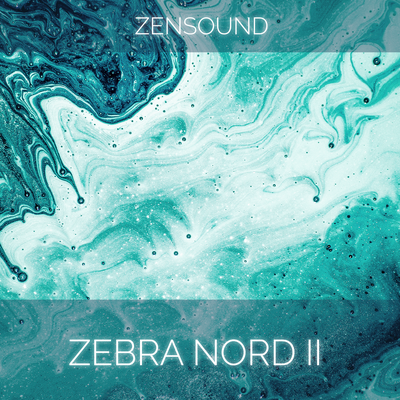 Zebra Nord II