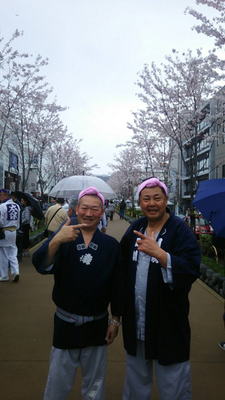 〈GP-17001〉 岡崎行雄さん：鎌倉さくら祭・2017年4月9日・鎌倉若宮大路(段葛)・コメント：生憎の空模様でしたが盛り上がりました。