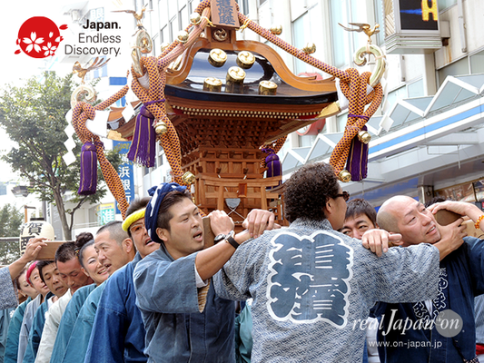 第40回よこすかみこしパレード　2016年10月16日【34. 神輿保存会 追濱睦】YMP16_074