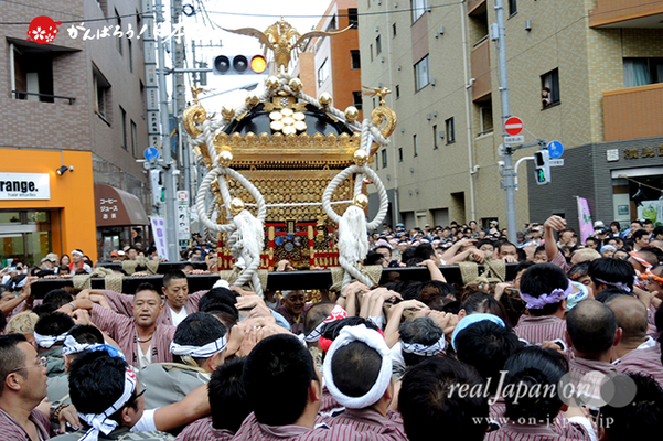 〈鳥越祭〉三筋南・本社神輿渡御 @2014.06.08