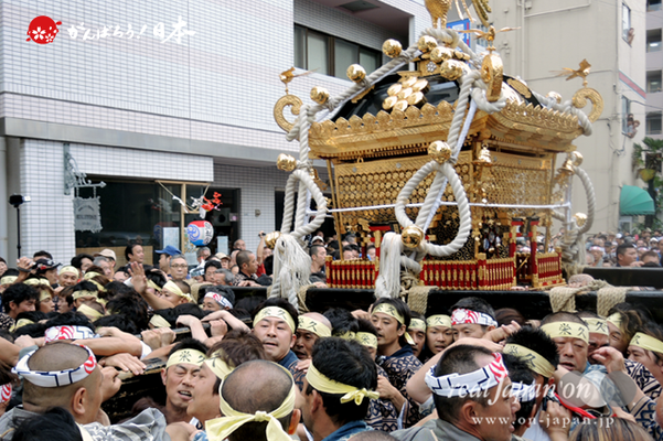 〈鳥越祭り〉栄久・本社神輿渡御 @2013.06.09