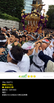 神輿コブさん：赤坂氷川祭, 2016年9月18日, 新調された赤坂氷川神社宮神輿