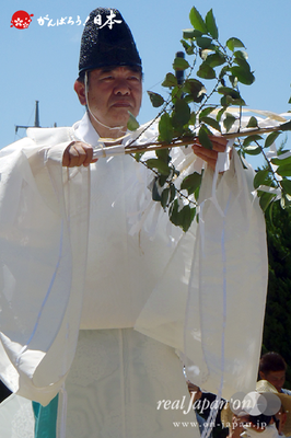 〈八重垣神社祇園祭〉八重垣神社宮司 @2014.08.05