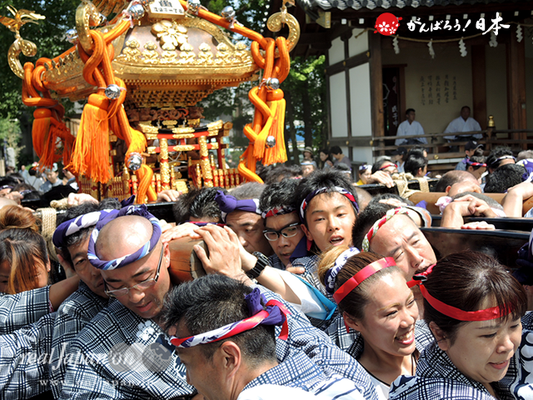 亀戸天神社例大祭：二十一番〈江東橋一丁目〉2014.08.24　　Ⓒreal Japan'on!：ktj14-041