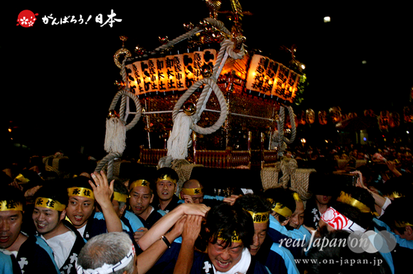 〈鳥越祭〉本社神輿・宮入道中【推進】 @2014.06.0