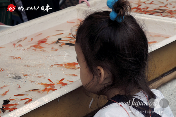 〈鳥越祭〉＠2014.06.08