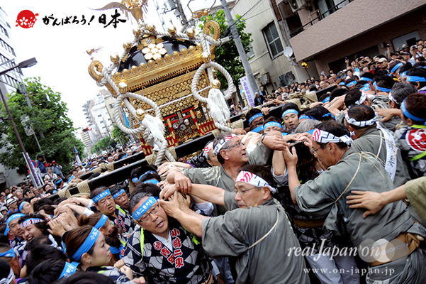 〈鳥越祭〉小島二東・本社神輿渡御 @2014.06.08