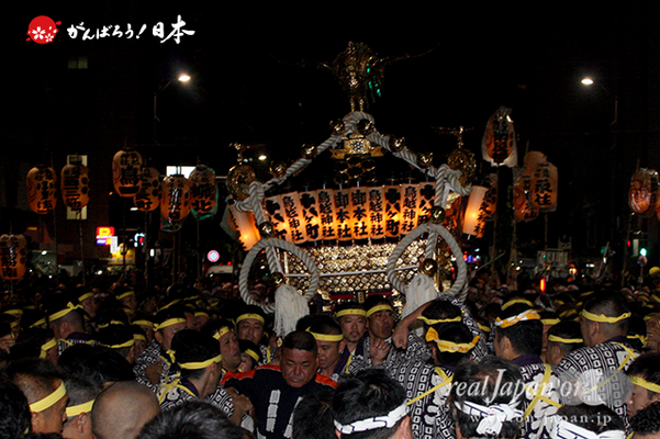 〈鳥越祭〉本社神輿・宮入道中【宮元】 @2014.06.08