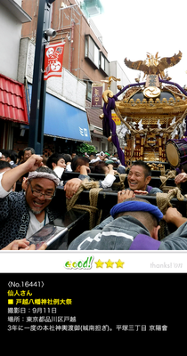 仙人さん：都腰八幡神社例大祭, 3年に一度の本社神輿渡御, 2016年9月11日