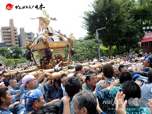 亀戸天神社例大祭：二十五番〈江東橋四丁目〉2014.08.24　　Ⓒreal Japan'on!：ktj14-050