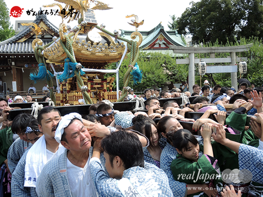 亀戸天神社例大祭：十二番〈緑四天神講〉2014.08.24　　Ⓒreal Japan'on!：ktj14-023