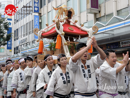 第40回よこすかみこしパレード　2016年10月16日【46. 湘南鷹取みこし同好会「湘鷹睦」】YMP16_107